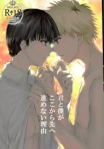 Kimi to Boku ga Kokokara Saki e Susumenai Riyuu