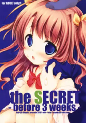 (C78) [MAPLER (Maple)] the SECRET -before 3 weeks- Copyshi