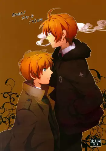 (SPARK4) [Seishinteki Ni Koujoushin Ga Nai Mono Wa Baka da (Tomako)] dust/smoke/view (Hetalia: Axis Powers)