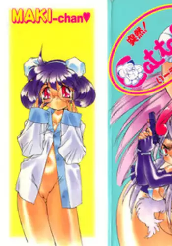 [Hariken Hanna] Totsuzen! Cat tale EX