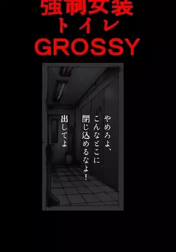 Kyousei Josou Toilet grossy