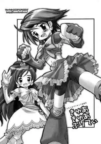 Futari wa Precure Sairokubon Cure Cure Pretty