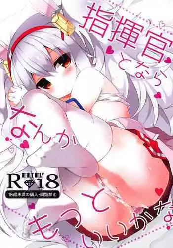 Shikikan to nara Nanka Motto Ii kana