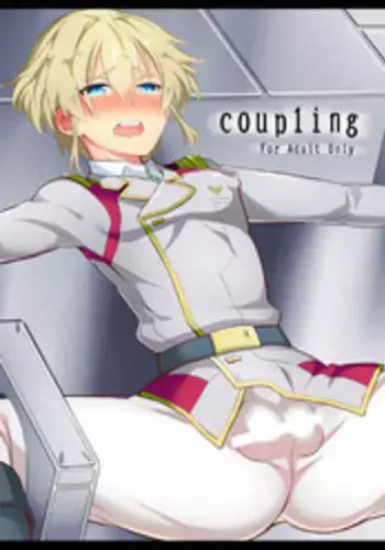 [Kai.Tenchou (Murai G)] coupling (Buddy Complex) [Digital]