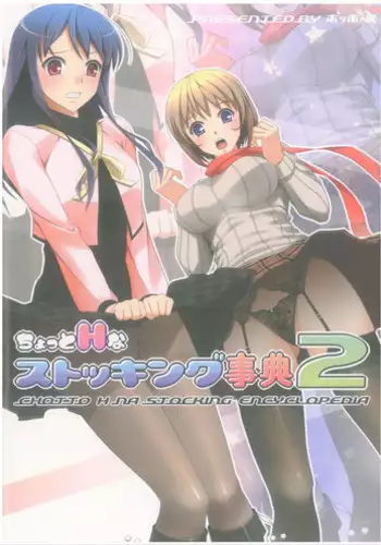 (C83) [Poppozu (Hiyoko Daiou, Kohinata Ryou)] Chotto H na Stocking Jiten 2