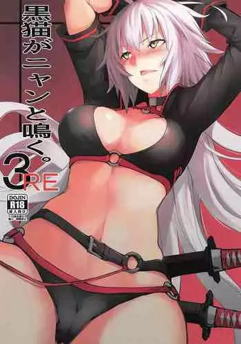 Kuroneko ga Nyan to Naku. 3RE