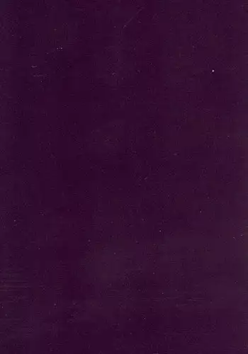 [Koutarou Ookoshi] Moon-Eating Insects