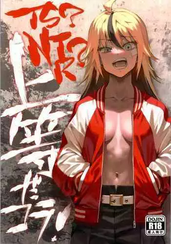 (C99) [Dokudami (Okita Ababa)] TS? NTR? Joutou da Kora!