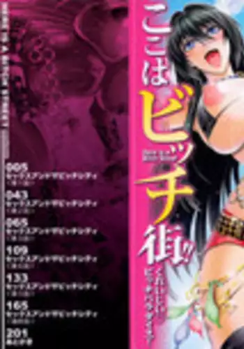 [Aoyama Akira] Koko wa Bitch gai !! - Here is a Bitch Street [English] [desudesu + SaHa + doujin-moe.us]