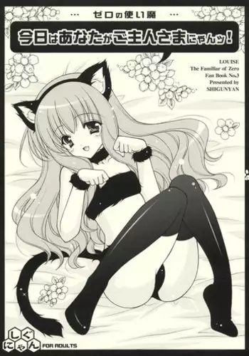 [Shigunyan] Kyou wa Anata ga Goshujin-sama Nyan! (Zero no Tsukaima)