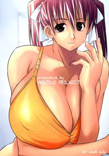 (C65) [Yaboudo Project (Narashino Zoe)] Somewhere Wonderful