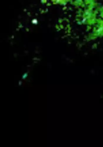 [Idea] Not a Love Song 1 [Shingeki no Kyojin]