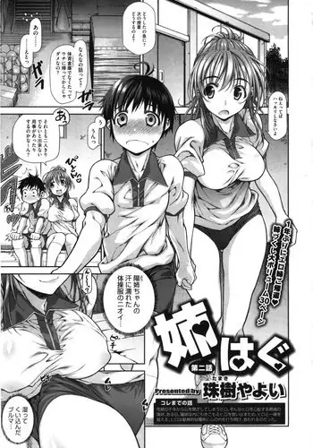 [Tamaki Yayoi] Ane Hug #02 (COMIC Megastore 2012-09)