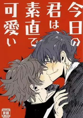 Kyou no Kimi wa, Sunao de Kawaii