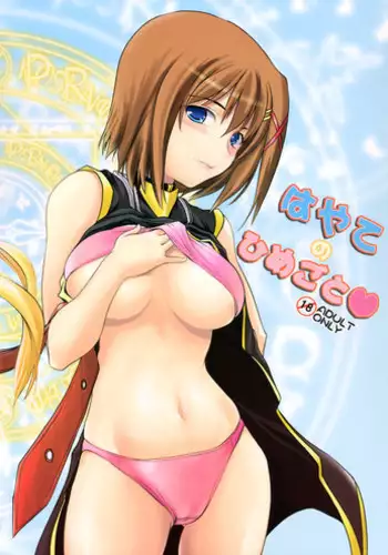 (C74) [SAZ (soba, Soukurou)] Hayate no Himegoto (Mahou Shoujo Lyrical Nanoha)