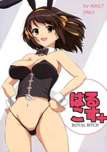 (C88) [Royal Bitch (haruhisky)] HARUCOS+ (The Melancholy of Haruhi Suzumiya)