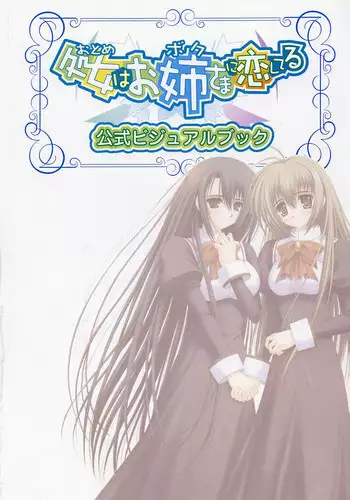 Otome wa boku ni koi shiteru Visual Fanbook (Otoboku)