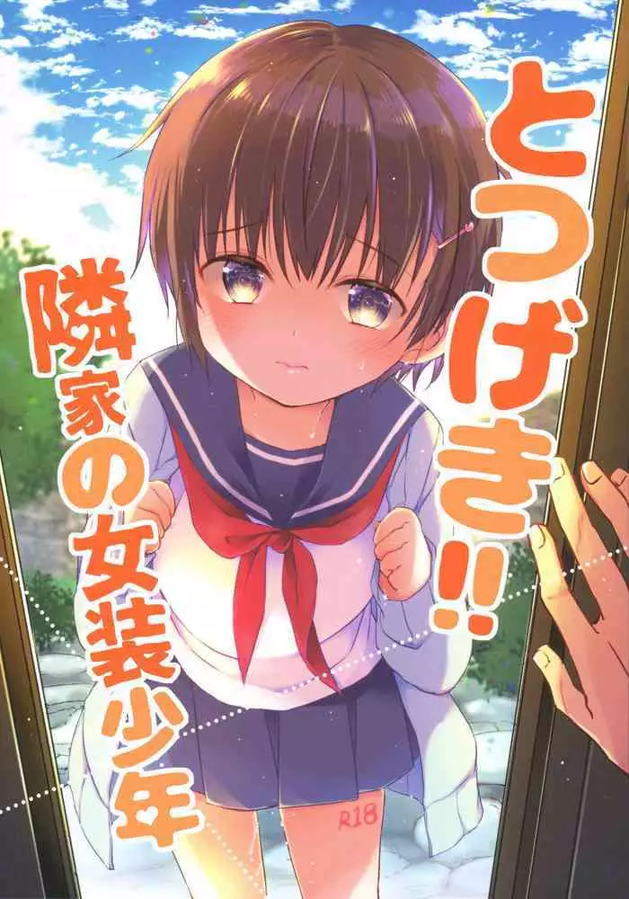 Totsugeki! Rinka no Josou Shounen