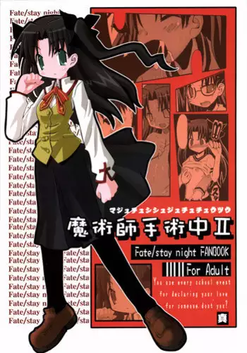 (C66) [Shin Shouryuu-ken (Leet Iga)] Majutsushi Shujucchuu 2 (Fate/stay night)