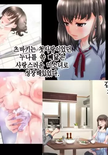 Ane no Wasuregatami no Mei o Ore wa Okashita ~Kouhen~