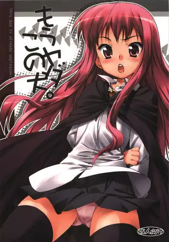 (C74) [EasyGame (Hoshizaki Hikaru)] mouyadako no inu (Zero no Tsukaima)
