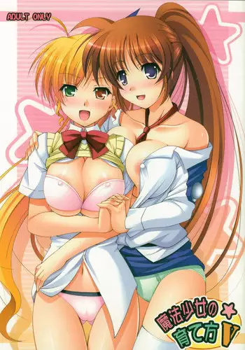 (C77) [K-Drive (Narutaki Shin)] Mahou Shoujo no Sodatekata V | How to Bring Up a Magical Girl V (Mahou Shoujo Lyrical Nanoha) [English] {satashi&ui-kun}