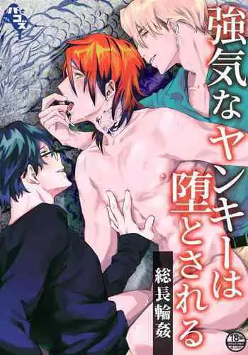 Bad Boy's Corruption: Gang Boss Gangbang