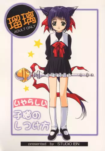 (C60) [Jiyuugaoka Shoutengai (Hiraki Naori)] ruri iyarashii koneko noshitsuke hou (shibireru daiou)