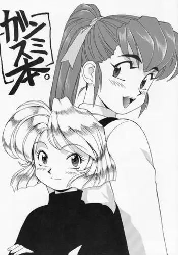 [BIG BOSS (Hontai Bai)] GansumiBon | GunsmiBon (Gunsmith Cats)