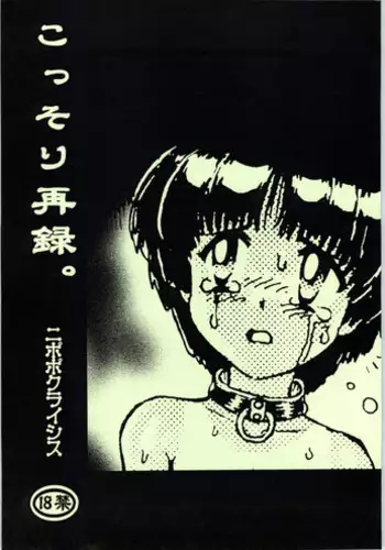 (SC15) [Nipopo Crisis (Genka Ichien)] Kossori Sairoku.