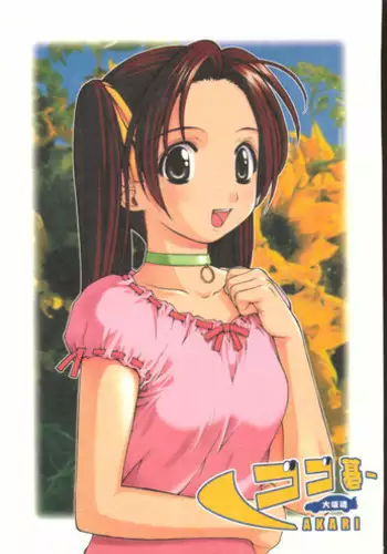 (C58)[Oh!saka Spirits] Go Go Goo Akari (Hikaru no Go)