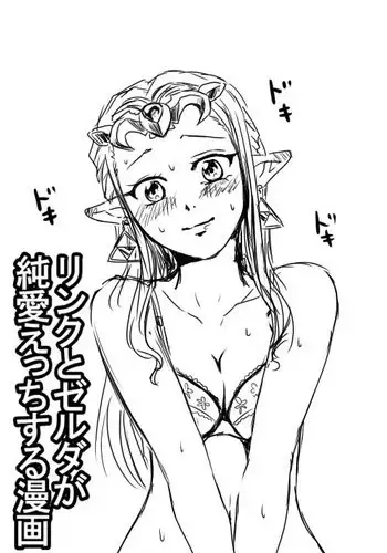 [Wasabi] Link to Zelda ga Jun Ai Ecchi suru Manga (The Legend of Zelda)