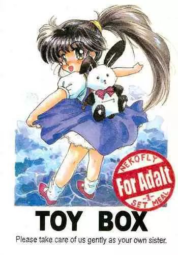 TOY BOX