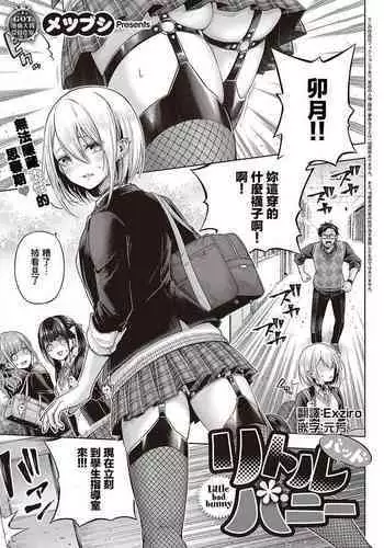 Little Bad Bunny | 小惡魔兔女郎