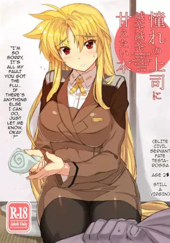 [Studio Himawari (Himukai Kyousuke)] Akogare no Joushi ni Mechamecha Amaetai Hon | I Wanna be Totally Spoiled by My Dear Boss Book (Mahou Shoujo Lyrical Nanoha) [English] {darknight} [Digital]