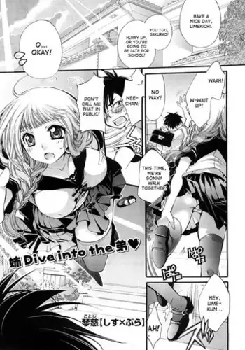 [Cotoji] Sis x Bro (COMIC Megastore H 2008-09) [English] [desudesu]