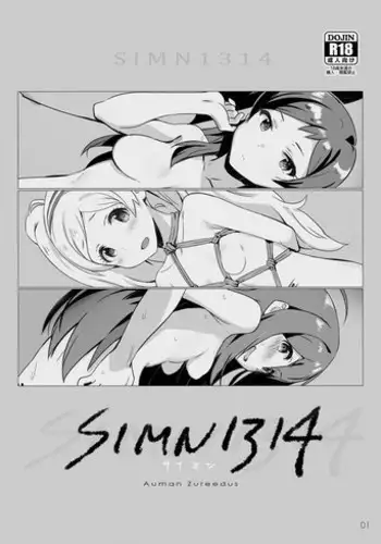 SIMN1314