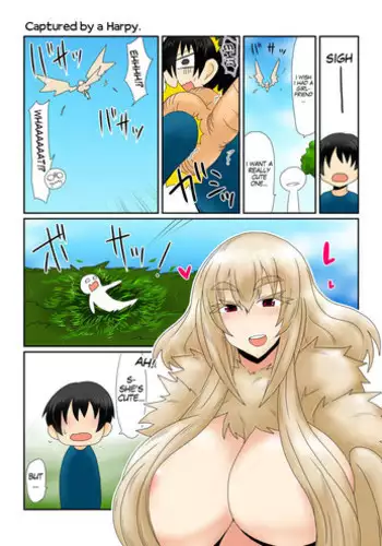 Harpy-san ni Tsukamatte. | Captured By A Harpy.