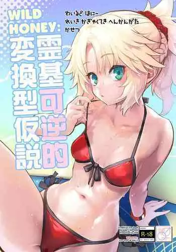 WILD HONEY Reiki Kagyakuteki Henkangata Kasetsu