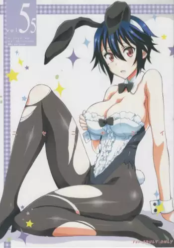 (CSP6) [Project Harakiri (Kaishaku)] Nisenisekoi 5.5 (Nisekoi)