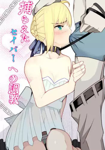 [ooooo (Mucukiva)] Toraeta Saber e no Choukyou (Fate/stay night)