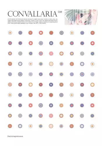 CONVALLARIA