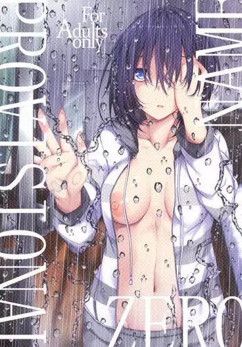 PROVISIONAL NAME ZERO