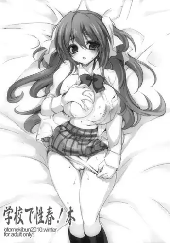 (C79) [Otomekibun (Sansyoku Amido.)] Gakkou de Seishun! Hon