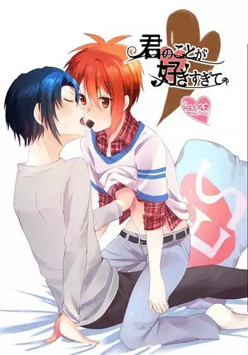 Kimi no Koto ga Suki Sugite