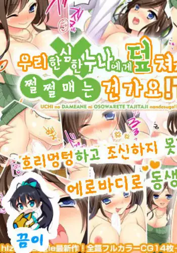 Uchi no Dame Ane ni Osowarete Tajitaji Nan desu ga!?