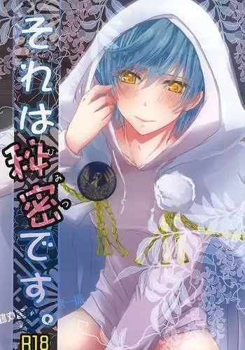 Sore wa Himitsu Desu.