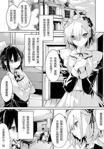 [Zanka] Oshioki Shitai Ojou-sama to saretai Maid-san [Chinese]